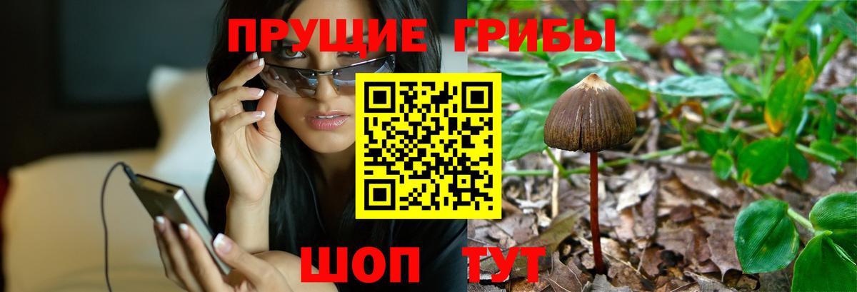 наркотики  Вход с VPN  Анапа  Галлюциногенные грибы мухоморы 